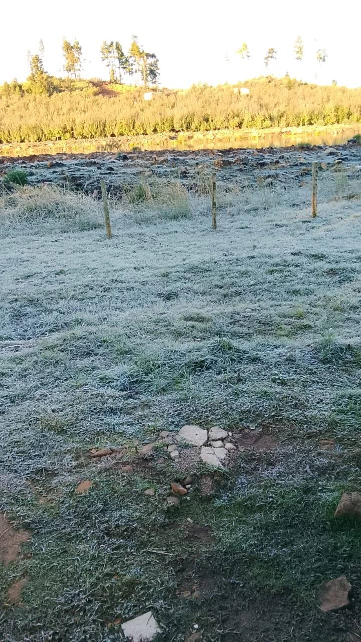 Frio provoca formação de geada em Bom Jardim da Serra nesta quinta-feira — foto 2