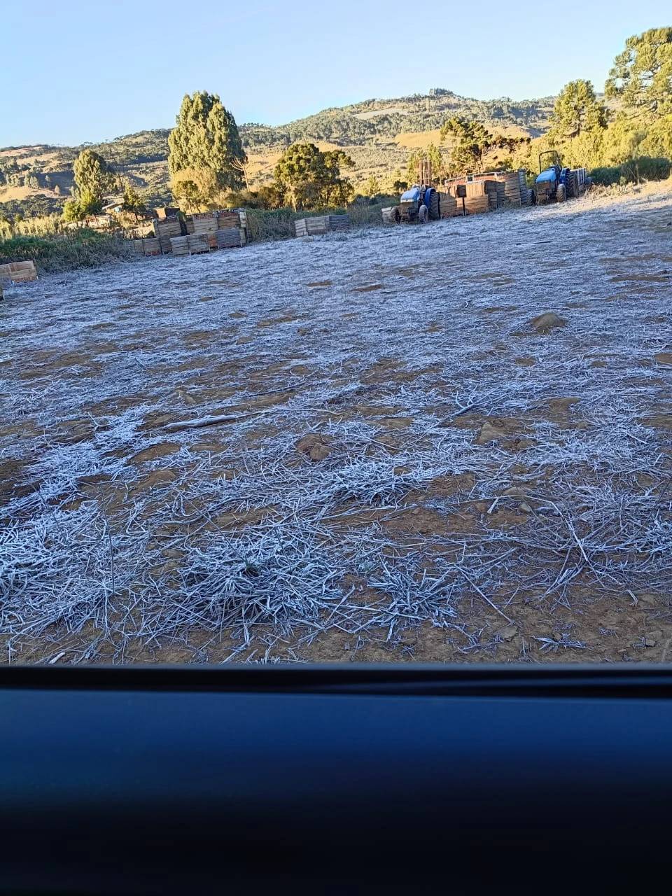 Frio provoca formação de geada em Bom Jardim da Serra nesta quinta-feira — foto 3