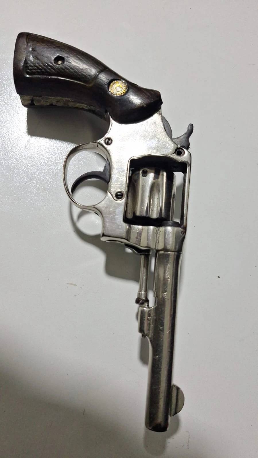 Cão de faro encontra arma carregada e jovem acaba preso em Criciúma — foto 1