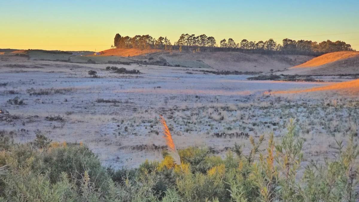 Fotos: amanhecer gelado marca a quinta-feira na Serra catarinense — foto 2