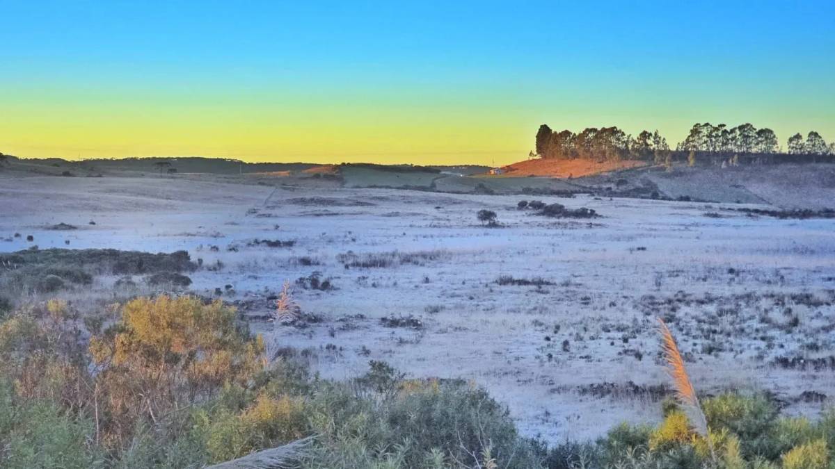Fotos: amanhecer gelado marca a quinta-feira na Serra catarinense — foto 1