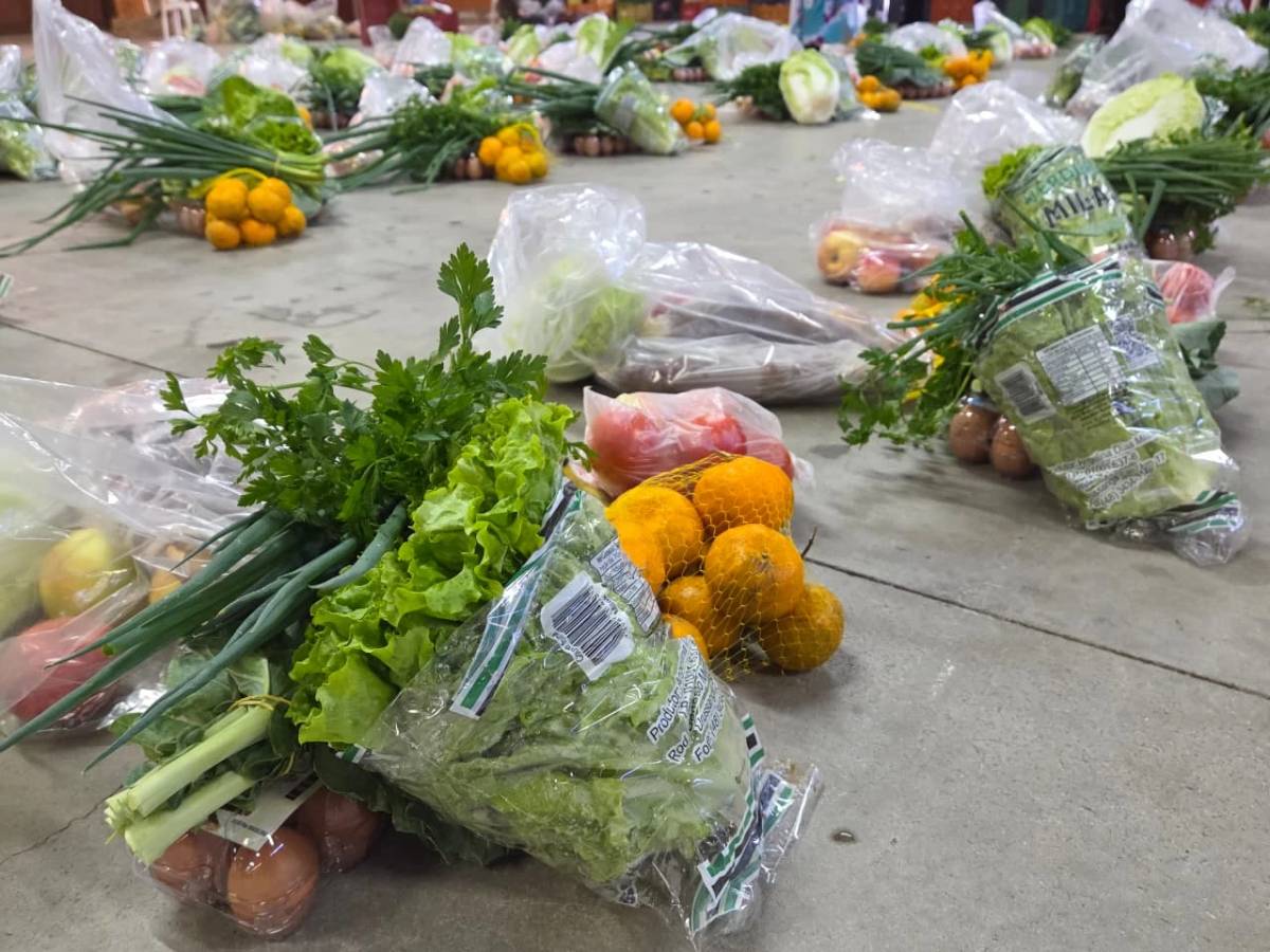Urussanga recebe 3,5 toneladas de alimentos de programa social para atender famílias e instituições — foto 1