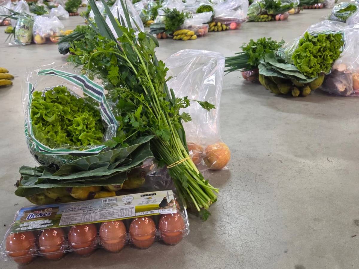 Urussanga recebe 3,5 toneladas de alimentos de programa social para atender famílias e instituições — foto 2