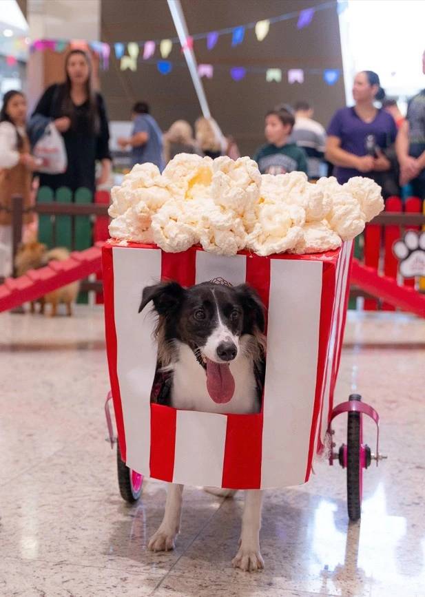 JuliPet terá corrida de saco, desfile pet e feira de adoção no Nações Shopping — foto 2