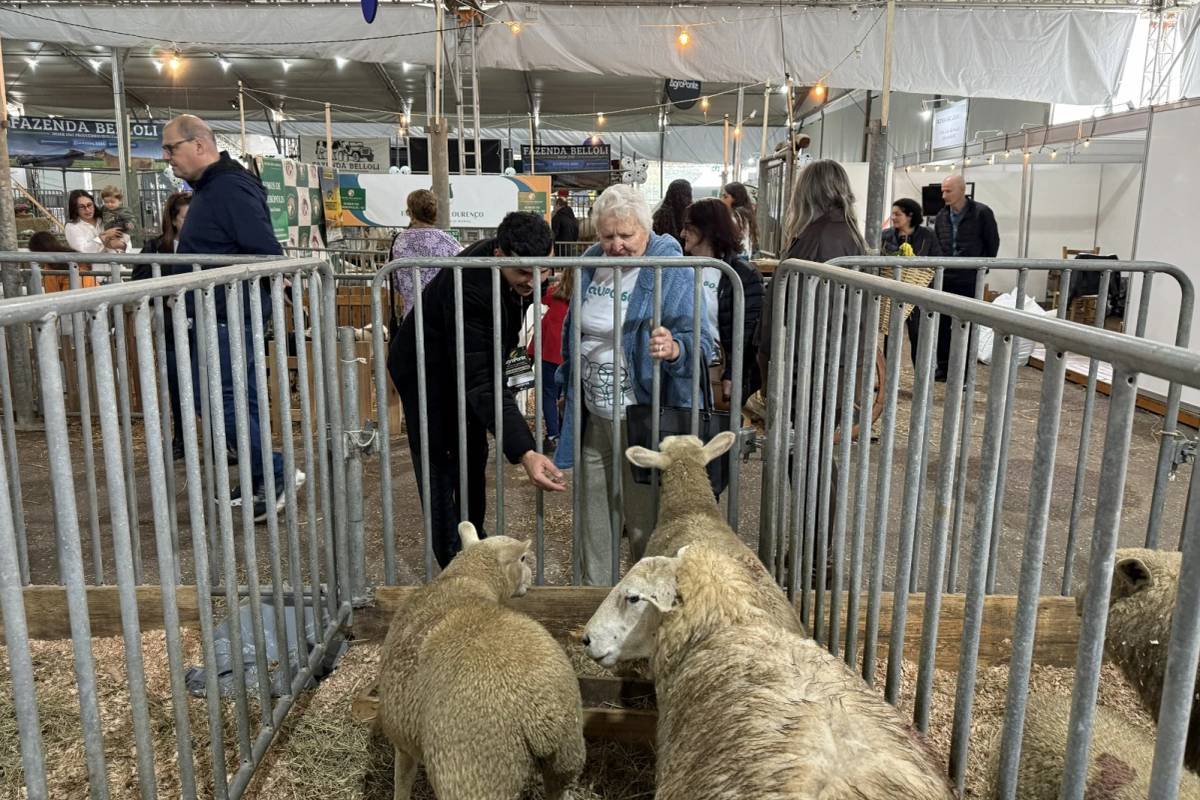 Afasc promove visita de 300 participantes à 15ª edição da Feira AgroPonte — foto 1