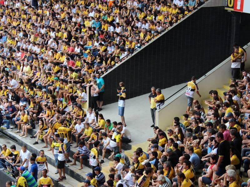 Galera tricolor dá show na vitória do Tigre — foto 1