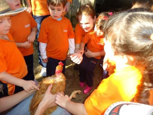 Sesi Escola de Criciúma Desenvolve Pesquisa de Campo na Pré-Escola