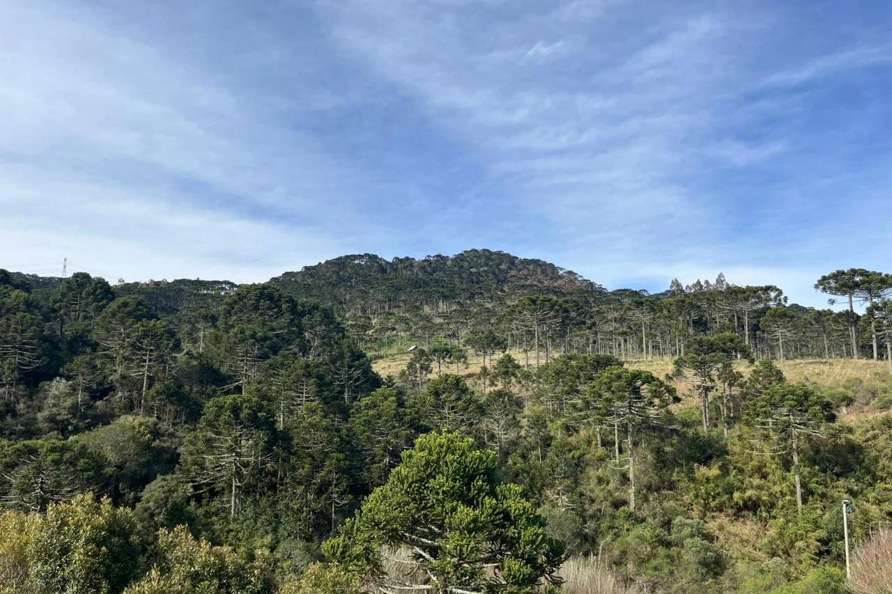 Termômetros marcam 0°C na Serra catarinense nesta terça-feira