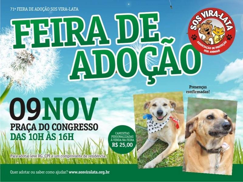 S.O.S. Vira lata promove feira de adoção