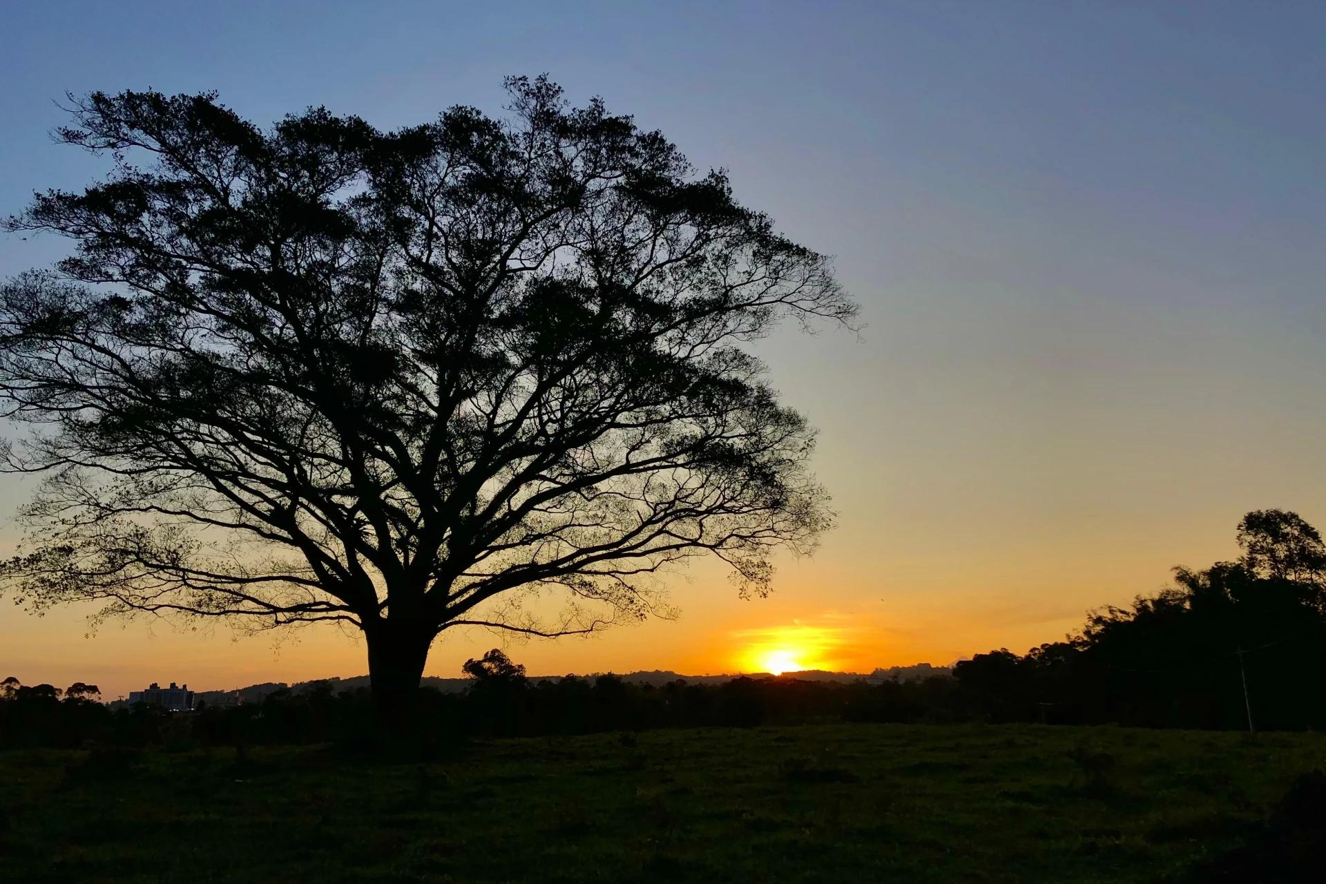 Última semana do ano terá calor, sol e chuva em Criciúma e região; veja a previsão do tempo