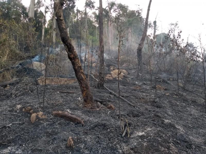 Corpo de Bombeiros combate incêndio em vegetação no Morro do Formigão