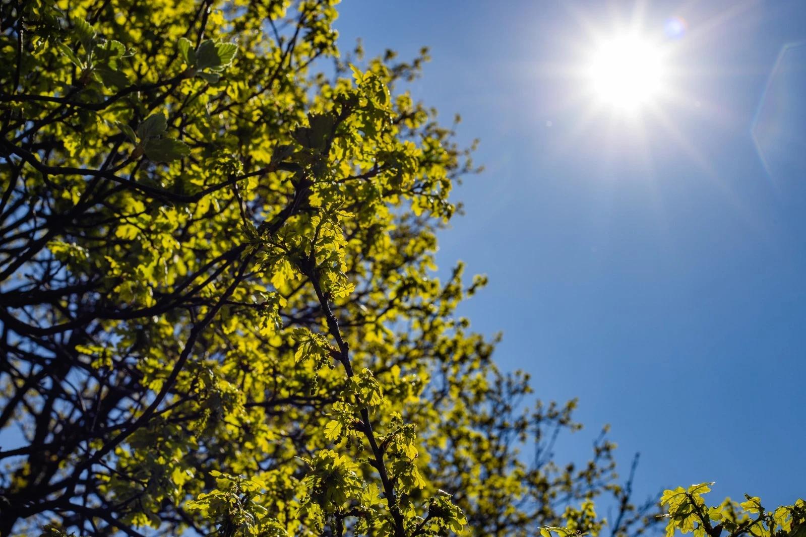 Calor e tempo ensolarado marcam a quarta-feira na região carbonífera