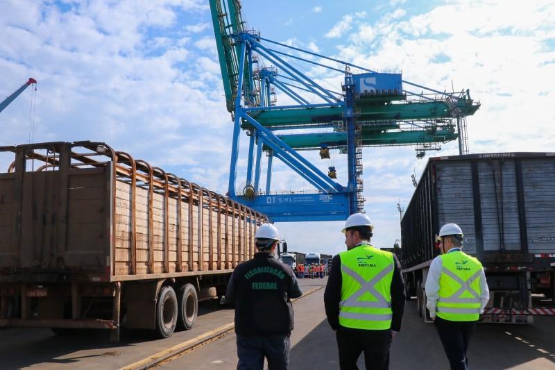Porto de Imbituba exporta 3.595 bois vivos para a Turquia