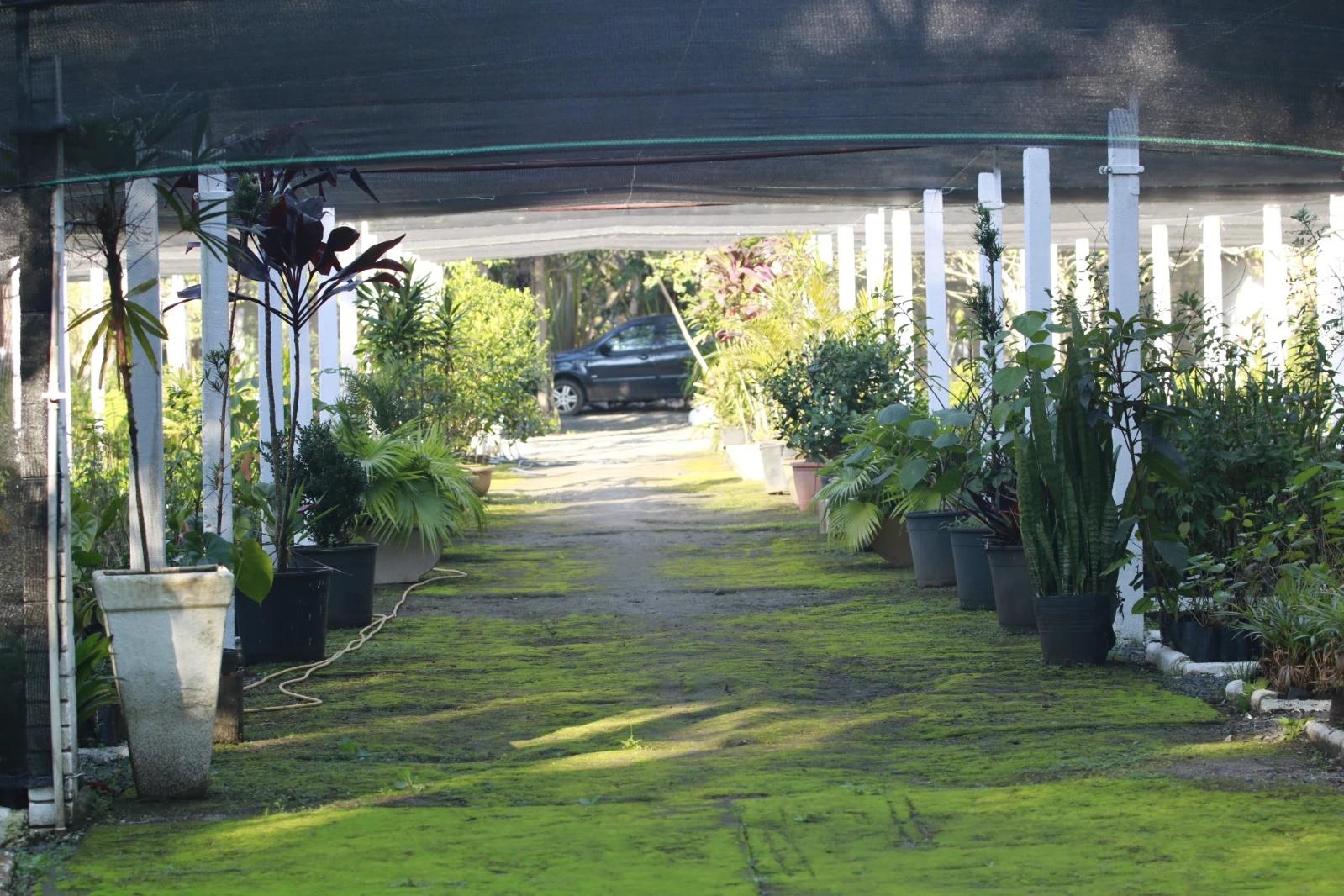 Horto Florestal Municipal será revitalizado em Criciúma