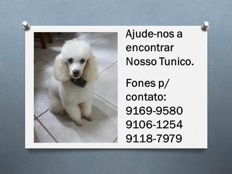 Procura-se Tunico