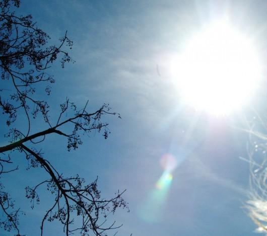 Março: Um mês de transição na temperatura