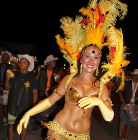 Estado abre programa para apoio ao Carnaval 2016