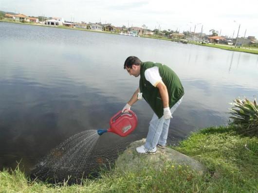 Nova aplicação de larvicida no Balneário Rincão