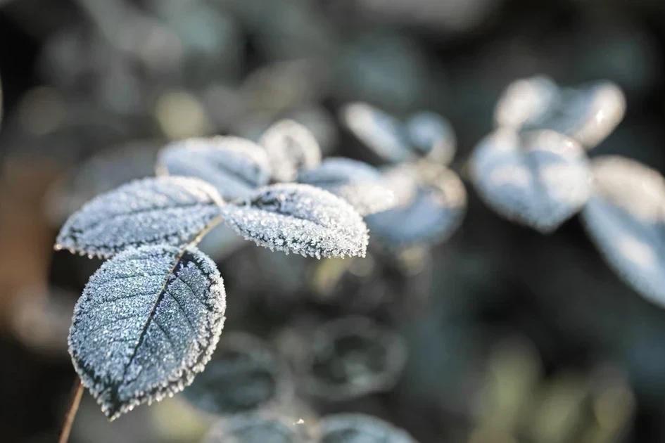 Após outono frio e seco, inverno inicia com chance de neve na Serra catarinense