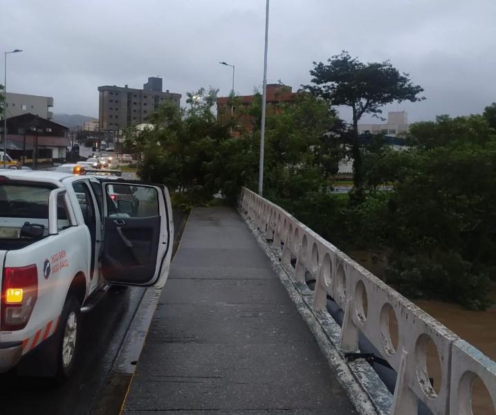 Árvore cai sobre cabeceira de ponte em Tubarão
