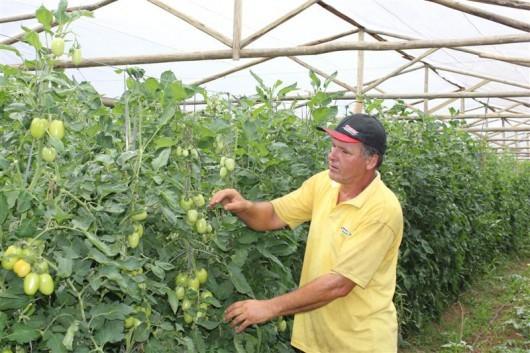 Agricultores familiares e prefeitura de Turvo renovam parceria para merenda escolar