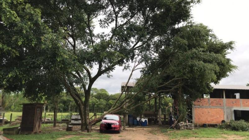 Quedas de árvores sobre casa, veículo e pavilhão mobilizam bombeiros em bairro de Forquilhinha