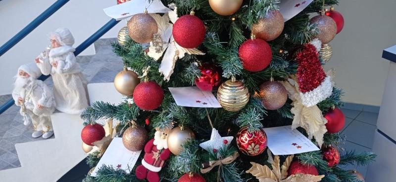 Samae lança campanha para atender cartinhas de Natal