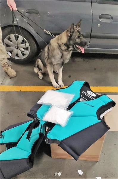 Cocaína escondida em encomenda que seguiria para a Nova Zelândia é encontrada após abordagem em SC