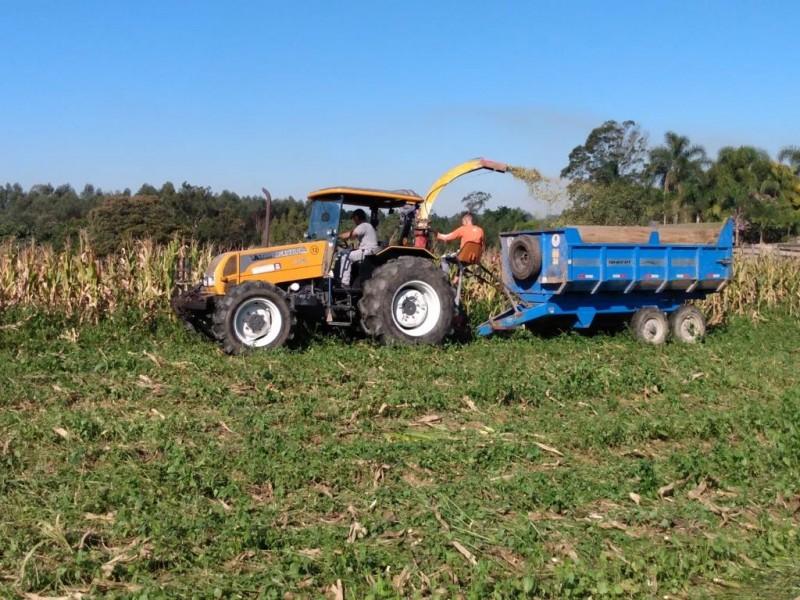 Leis de incentivo ao agricultor entram em vigor em Cocal do Sul