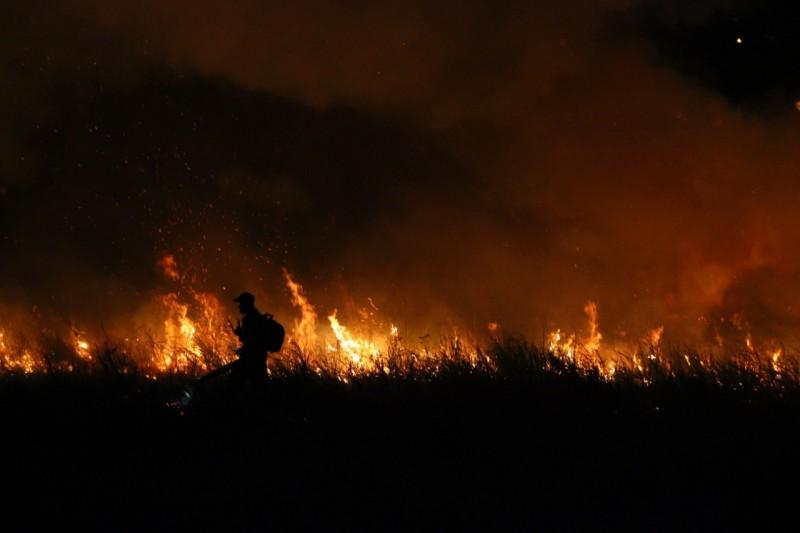 Incêndio em vegetação no bairro Floresta: bombeiros finalizam trabalho de combate às chamas