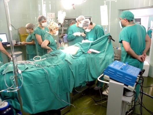 Dia Nacional do Doador de Órgãos e Tecidos será lembrado com mobilização 
