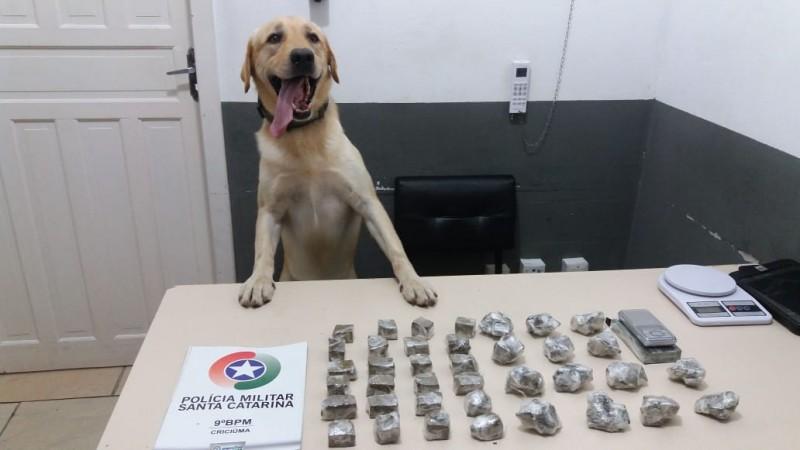 Mulher é detida por tráfico de drogas no bairro Vila Manaus, em Criciúma