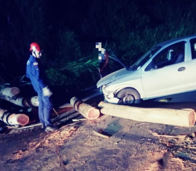 Motorista fica ferida ao colidir em árvore que caiu sobre pista e interditou rodovia