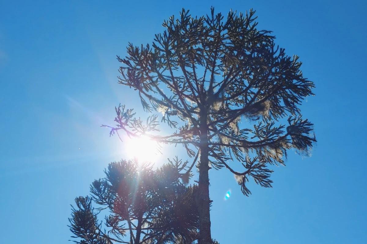 Dezembro frio: Serra catarinense registra baixas temperaturas nesta quinta-feira