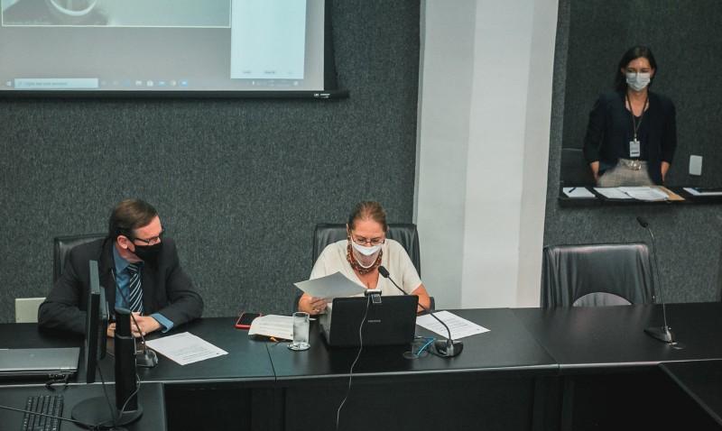 Alesc debate fechamento da usina Jorge Lacerda com Ministério de Minas e Energia