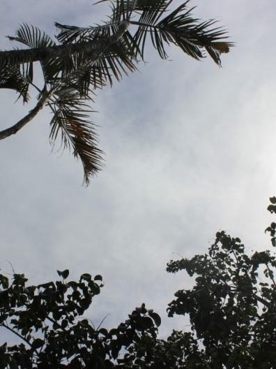 Estado poderá sofrer com tempestades nos próximos dias 