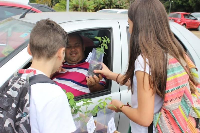 Satc doa planta que auxilia no combate à Dengue