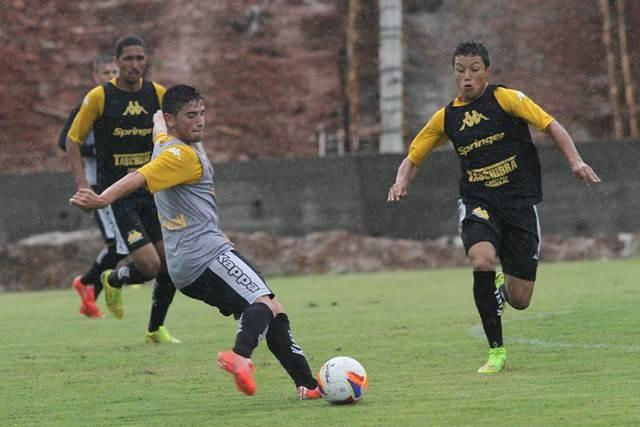Debaixo de chuva, Tigre faz treino no CT