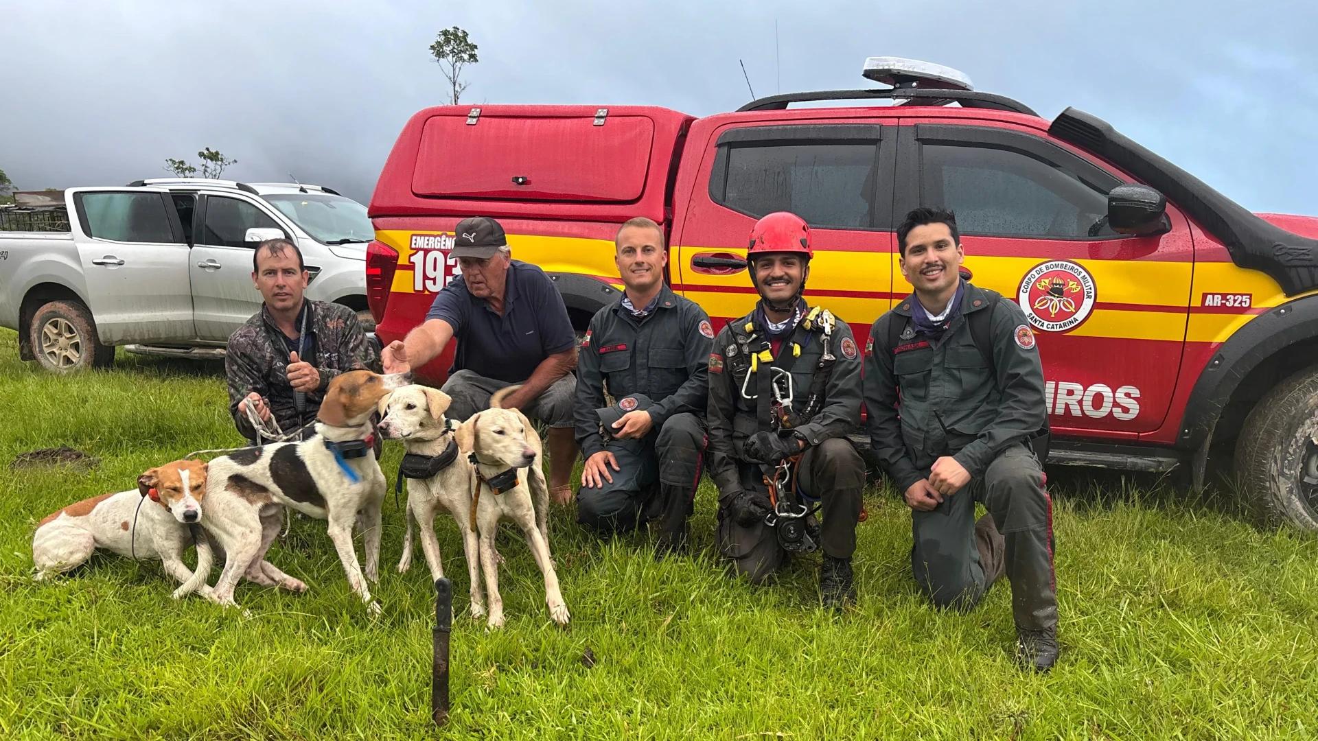 Cães de caça são resgatados por bombeiros após ficarem presos em encosta de serra