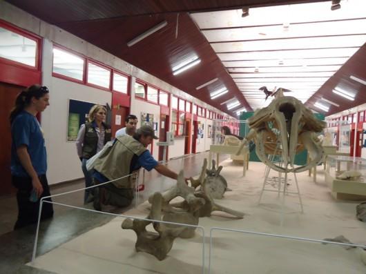Museu de Zoologia da Unesc conquista Prêmio Elisabete Anderle de Estímulo à Cultura
