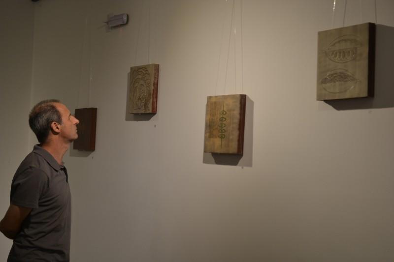 Exposição enaltece o legado de Jussara Guimarães