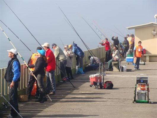 Plataforma Entremares realiza Torneio de Pesca de Verão