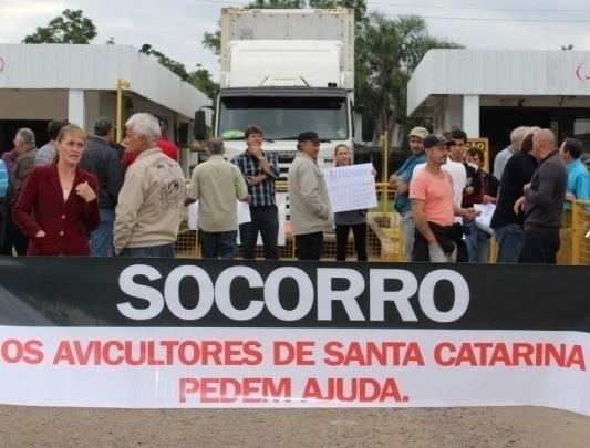 Em assembleia, avicultores do sul avaliam mercado na região