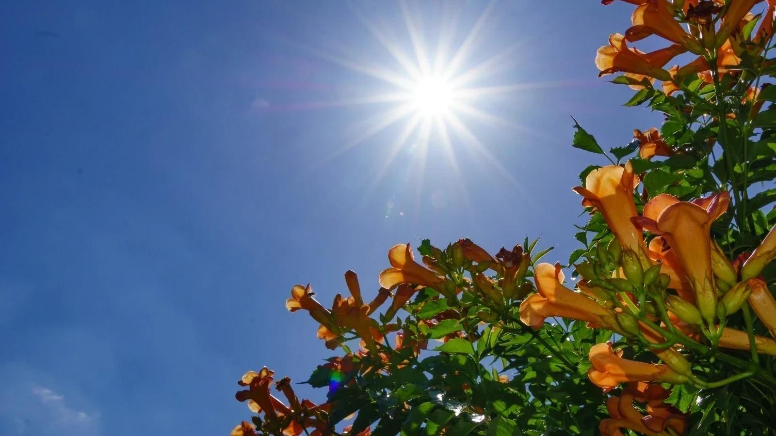 Última semana de janeiro terá calor de 35°C e variação no tempo em Criciúma e região
