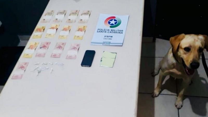 Com ajuda de cão farejador, polícia encontra drogas em Criciúma