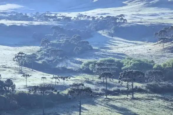 Serra catarinense amanhece coberta de geada nesta quarta-feira