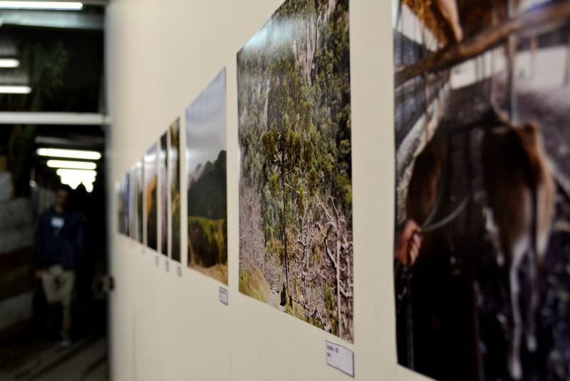 Exposição Vias traz olhar diferenciado do cotidiano