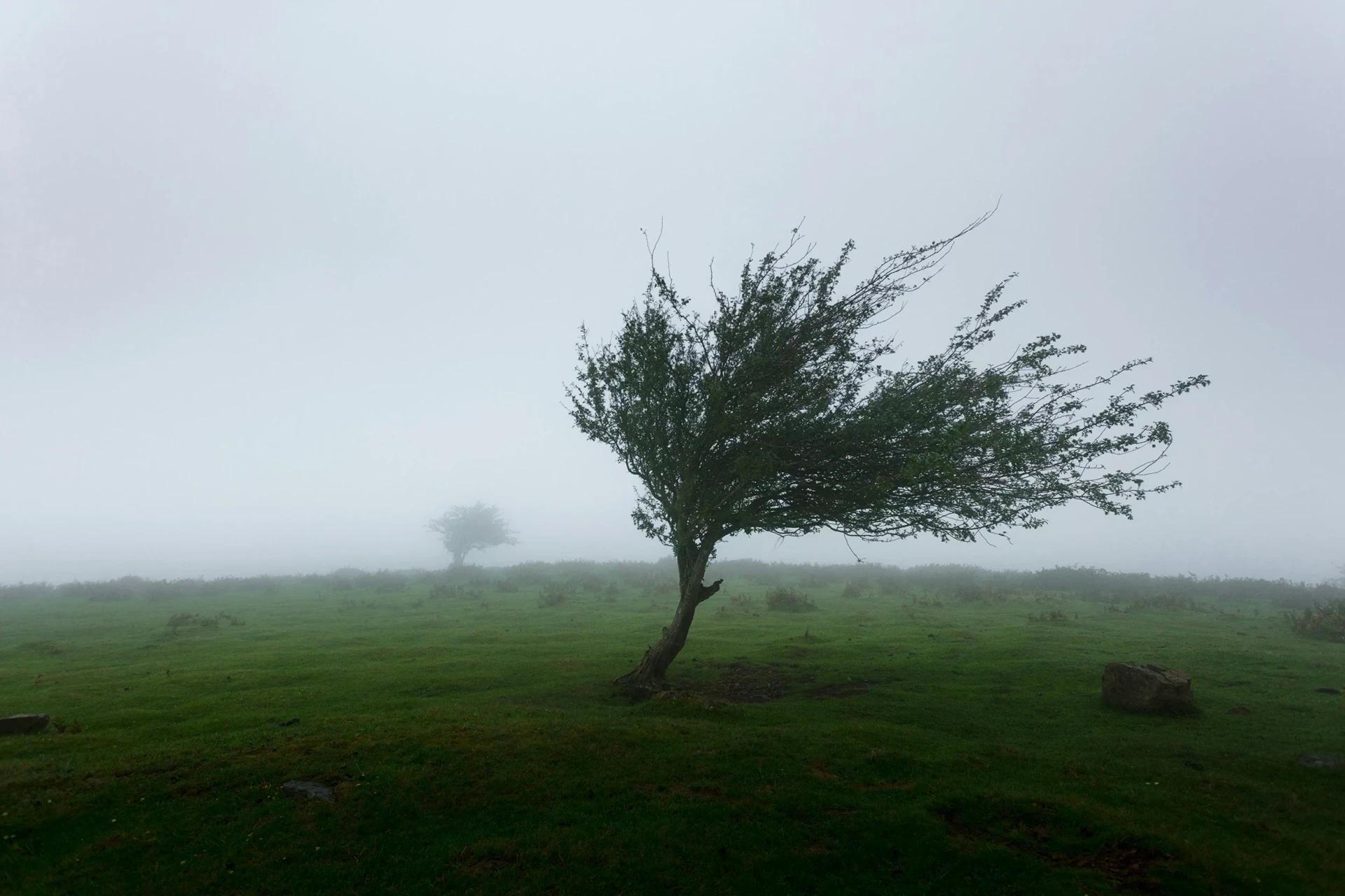 Vídeo: Defesa Civil de Criciúma alerta para passagem de ciclone extratropical