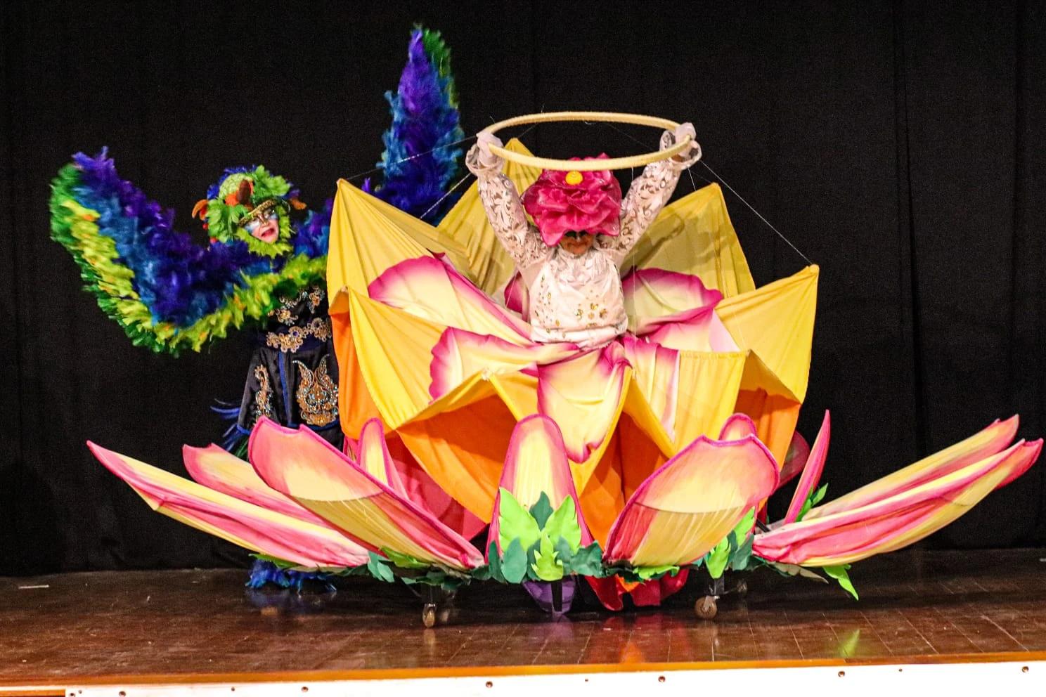 Bailarinas da terceira idade de Nova Veneza levam talento ao Festival de Dança de Joinville
