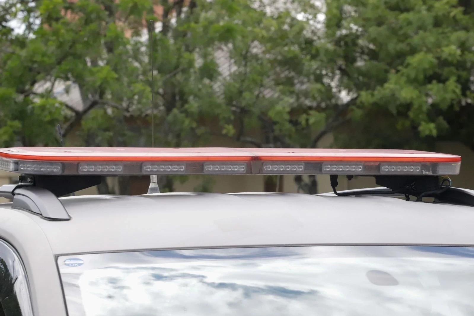 Homem é preso por furtar e carnear vaca em Forquilhinha